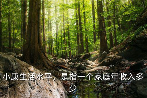 小康生活水平，是指一個家庭年收入多少