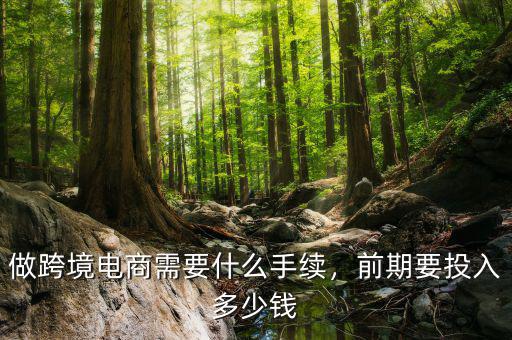 做跨境電商需要什么手續(xù)，前期要投入多少錢