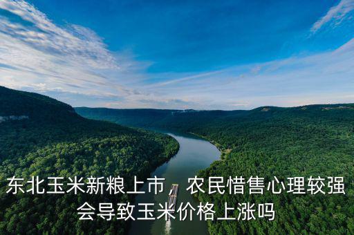 東北玉米新糧上市，農(nóng)民惜售心理較強(qiáng)會(huì)導(dǎo)致玉米價(jià)格上漲嗎