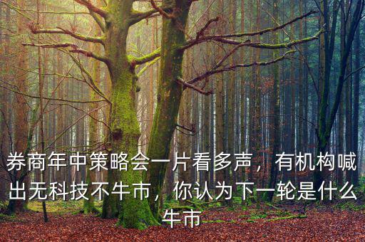 券商年中策略會(huì)一片看多聲，有機(jī)構(gòu)喊出無(wú)科技不牛市，你認(rèn)為下一輪是什么牛市