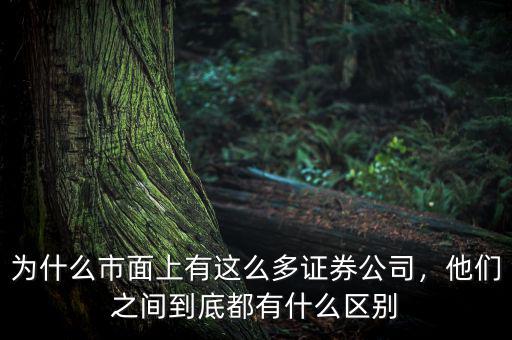 為什么市面上有這么多證券公司，他們之間到底都有什么區(qū)別