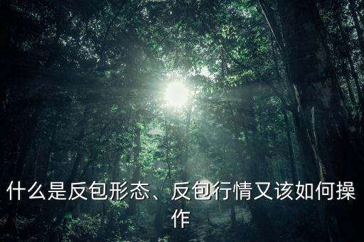 什么是反包形態(tài)、反包行情又該如何操作