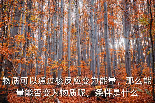 物質(zhì)可以通過(guò)核反應(yīng)變?yōu)槟芰浚敲茨芰磕芊褡優(yōu)槲镔|(zhì)呢，條件是什么