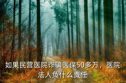 如果民營醫(yī)院詐騙醫(yī)保50多萬，醫(yī)院法人負(fù)什么責(zé)任