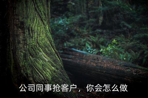公司同事?lián)尶蛻?，你會怎么? class=