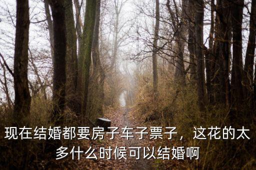 現(xiàn)在結(jié)婚都要房子車子票子，這花的太多什么時(shí)候可以結(jié)婚啊