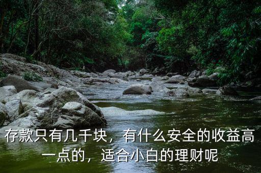存款只有幾千塊，有什么安全的收益高一點(diǎn)的，適合小白的理財(cái)呢