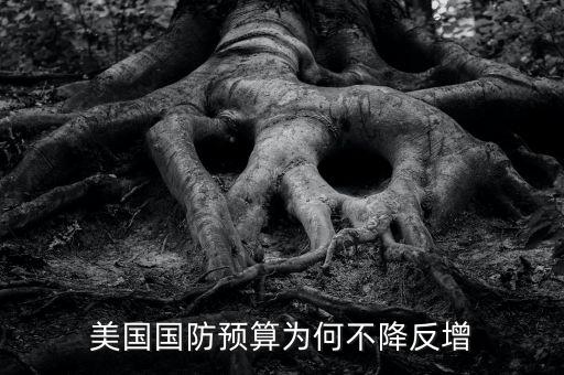 美國有多少項(xiàng)預(yù)算法律,美國欠聯(lián)合國會費(fèi)有多少錢了