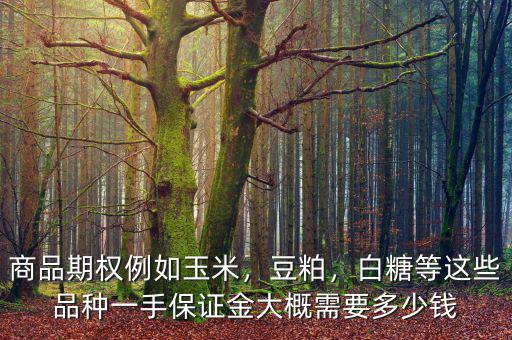 商品期權(quán)例如玉米，豆粕，白糖等這些品種一手保證金大概需要多少錢