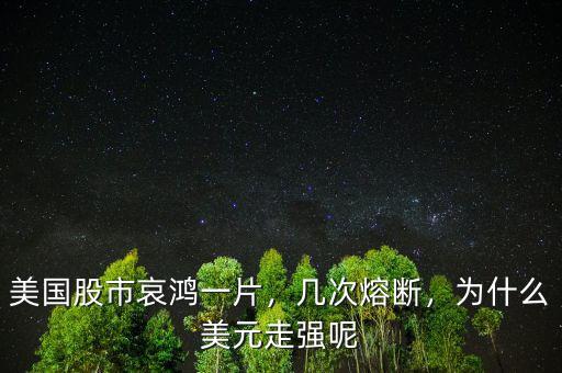 美國股市哀鴻一片，幾次熔斷，為什么美元走強呢