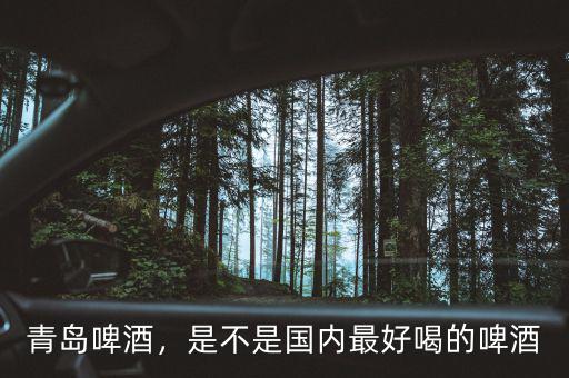 青島啤酒，是不是國(guó)內(nèi)最好喝的啤酒