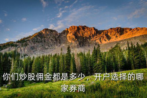 你們炒股傭金都是多少，開戶選擇的哪家券商