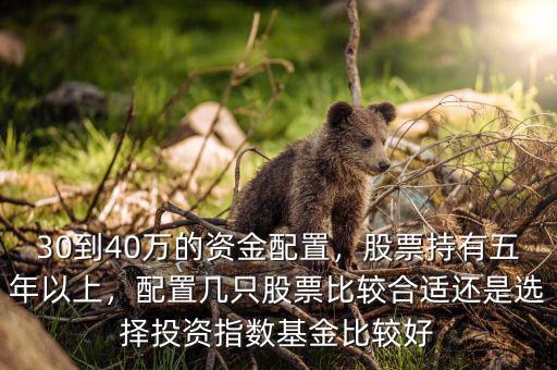30到40萬的資金配置，股票持有五年以上，配置幾只股票比較合適還是選擇投資指數(shù)基金比較好
