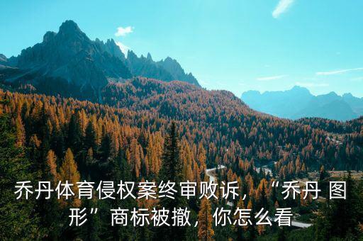 喬丹體育侵權案終審敗訴，“喬丹 圖形”商標被撤，你怎么看