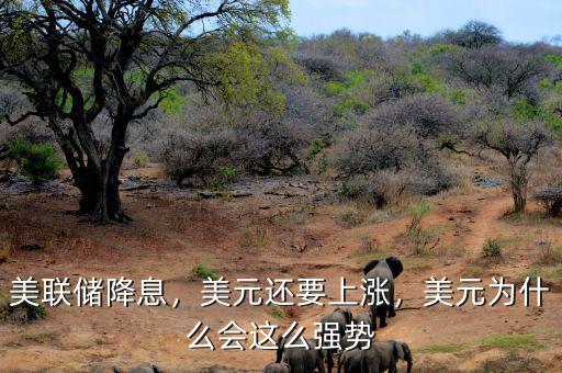 美聯(lián)儲(chǔ)降息，美元還要上漲，美元為什么會(huì)這么強(qiáng)勢(shì)