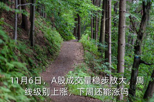 11月6日，A股成交量穩(wěn)步放大，周線級(jí)別上漲，下周還能漲嗎