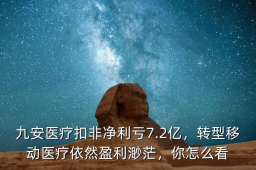 九安醫(yī)療扣非凈利虧7.2億，轉(zhuǎn)型移動(dòng)醫(yī)療依然盈利渺茫，你怎么看