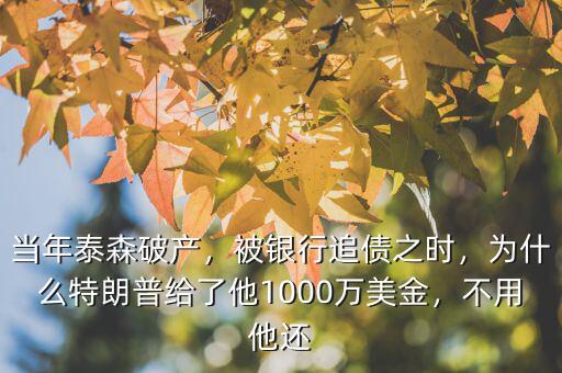 當(dāng)年泰森破產(chǎn)，被銀行追債之時，為什么特朗普給了他1000萬美金，不用他還