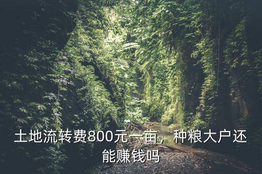 土地流轉(zhuǎn)做什么賺錢,土地流轉(zhuǎn)了農(nóng)民沒(méi)事做了