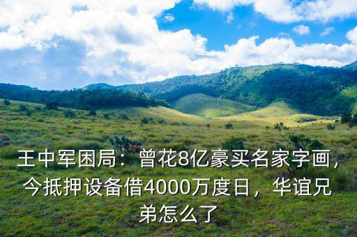 王中軍困局：曾花8億豪買名家字畫，今抵押設(shè)備借4000萬度日，華誼兄弟怎么了