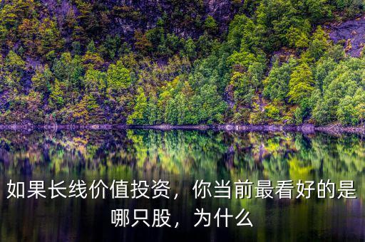 如果長(zhǎng)線價(jià)值投資，你當(dāng)前最看好的是哪只股，為什么