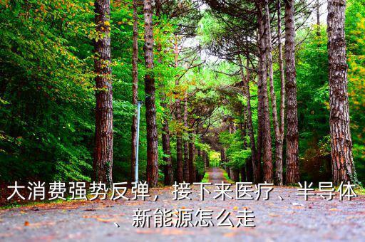 大消費強勢反彈，接下來醫(yī)療、半導(dǎo)體、新能源怎么走