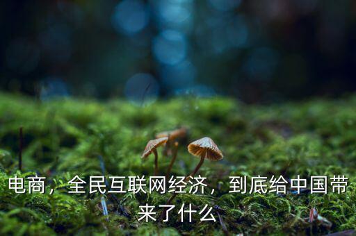 電商，全民互聯(lián)網(wǎng)經(jīng)濟(jì)，到底給中國(guó)帶來了什么
