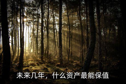 未來(lái)幾年，什么資產(chǎn)最能保值