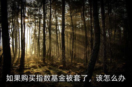 如果購買指數(shù)基金被套了，該怎么辦