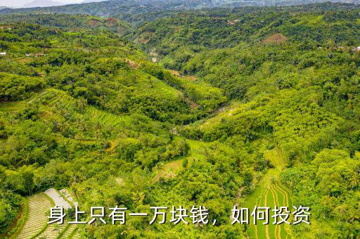 身上只有一萬塊錢，如何投資