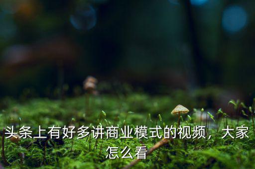 頭條上有好多講商業(yè)模式的視頻，大家怎么看