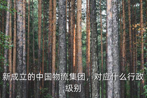 新成立的中國物流集團(tuán)，對應(yīng)什么行政級別