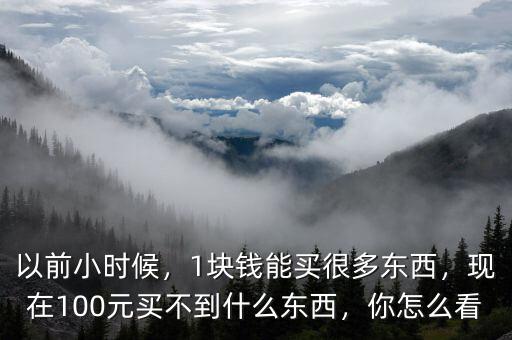 以前小時候，1塊錢能買很多東西，現(xiàn)在100元買不到什么東西，你怎么看