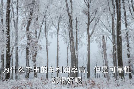 為什么豐田的車利潤率高，但是可靠性卻很好呢