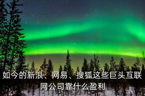 如今的新浪、網(wǎng)易、搜狐這些巨頭互聯(lián)網(wǎng)公司靠什么盈利