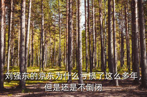 劉強(qiáng)東的京東為什么虧損了這么多年，但是還是不倒閉