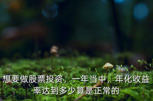 想要做股票投資，一年當(dāng)中，年化收益率達(dá)到多少算是正常的