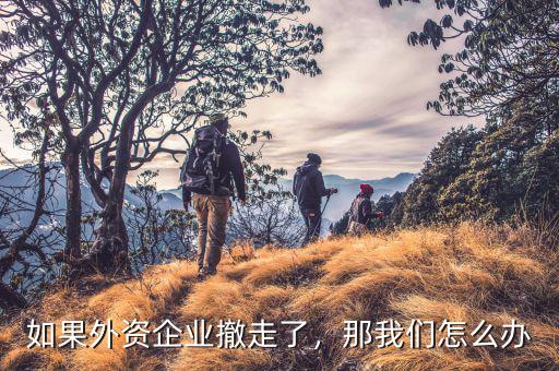 如果外資企業(yè)撤走了，那我們?cè)趺崔k