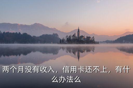 兩個月沒有收入，信用卡還不上，有什么辦法么