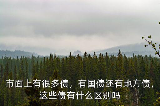 市面上有很多債，有國債還有地方債，這些債有什么區(qū)別嗎