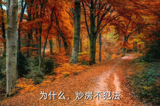 為什么，炒房不犯法