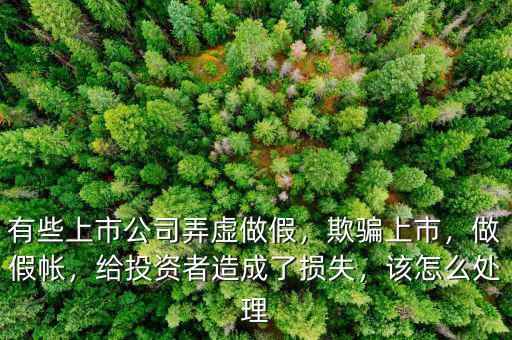有些上市公司弄虛做假，欺騙上市，做假帳，給投資者造成了損失，該怎么處理