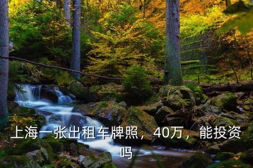 上海一張出租車牌照，40萬，能投資嗎