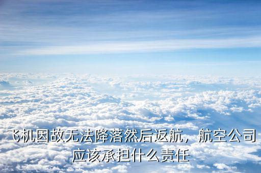 飛機因故無法降落然后返航，航空公司應(yīng)該承擔什么責任