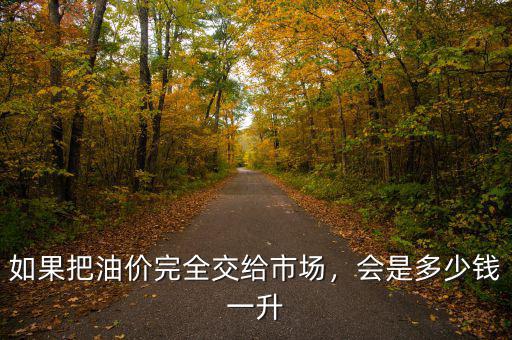 如果把油價(jià)完全交給市場(chǎng)，會(huì)是多少錢(qián)一升