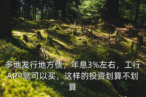 多地發(fā)行地方債，年息3%左右，工行APP就可以買，這樣的投資劃算不劃算