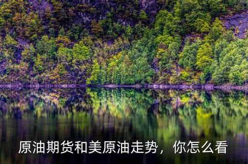 原油期貨和美原油走勢，你怎么看