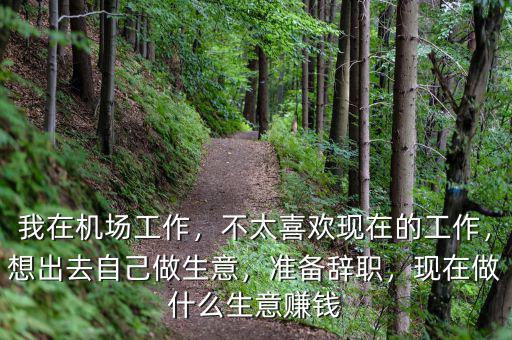 我在機場工作，不太喜歡現(xiàn)在的工作，想出去自己做生意，準備辭職，現(xiàn)在做什么生意賺錢