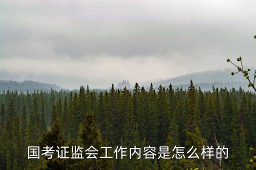 國考證監(jiān)會(huì)工作內(nèi)容是怎么樣的