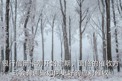 銀行信用卡剛開始逾期，面臨的催收方式會有哪些如何更好的應(yīng)對催收